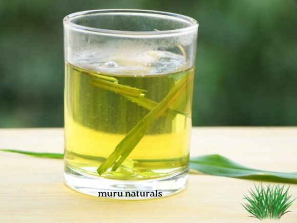 Is Lemongrass Tea The New Perfect Blend For Wellness and Flavor?